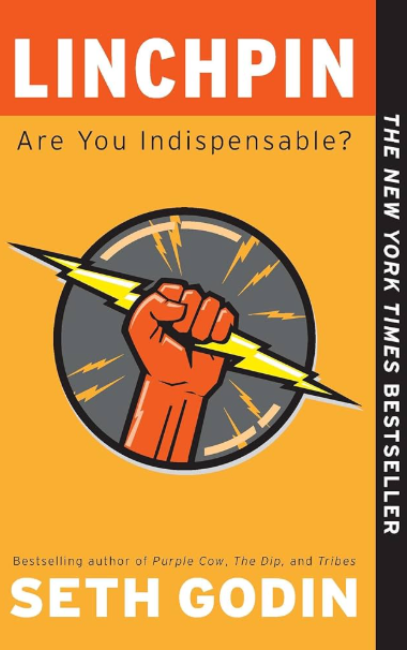 Linchpin: Are You Indispensable?